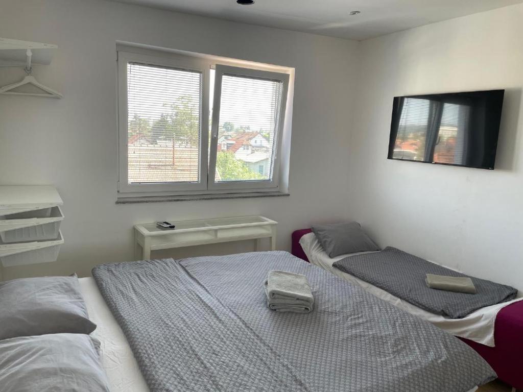 R41 - Tivoli Groundfloor Apartment ليوبليانا المظهر الخارجي الصورة