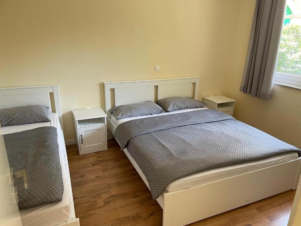 R41 - Tivoli Groundfloor Apartment ليوبليانا المظهر الخارجي الصورة