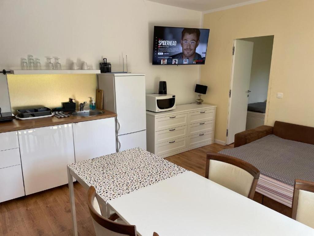 R41 - Tivoli Groundfloor Apartment ليوبليانا المظهر الخارجي الصورة